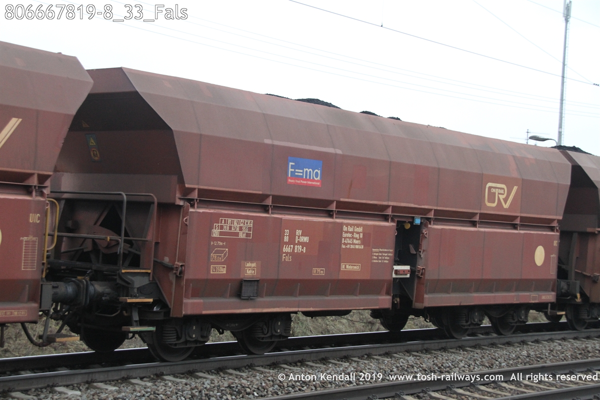 806667819-8_33_Fals.JPG